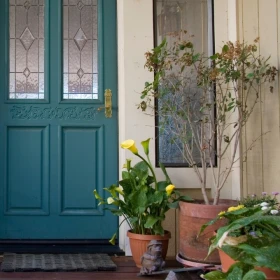 /estilo-de-vida/planta-feng-shui-tener-fuera-hogar