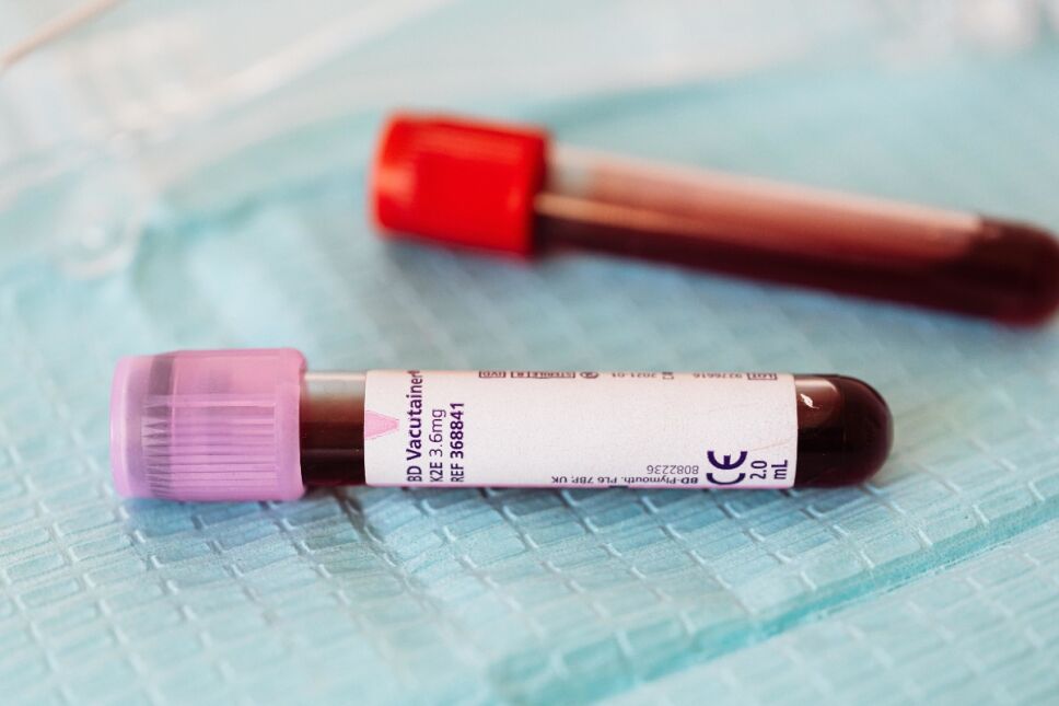 requisitos para donar sangre