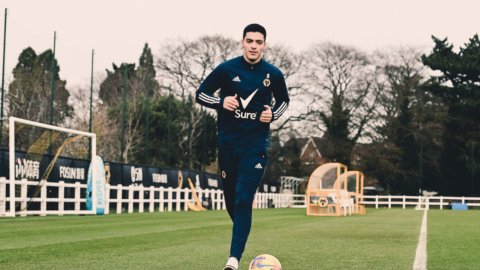 Ra&uacute;l Jim&eacute;nez Wolverhampton