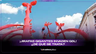 ¡Jirafas GIGANTES invaden GDL! ¿de qué se trata?