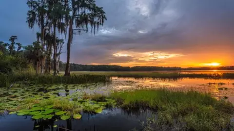 Lake Louisa State Park en Florida