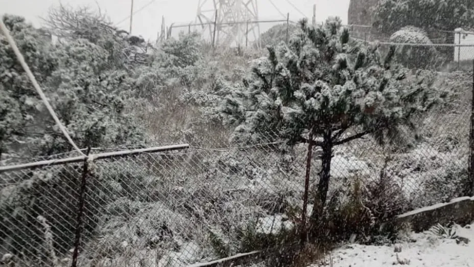 Bajas temperaturas1.jpg