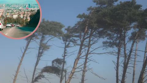 ¿Cuándo se van los vientos de Santa Ana en Tijuana tras su llegada el jueves 27 de febrero de 2025?