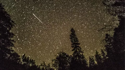 La lluvia de estrellas traer&aacute; prosperidad para muchos de los signos del zod&iacute;aco.