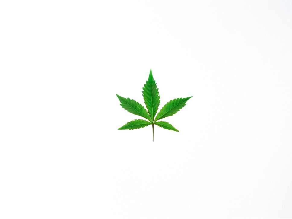 Cómo afecta la marihuana a la mente