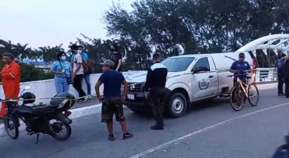 COCODRILO EN TAMPICO (1).jpeg