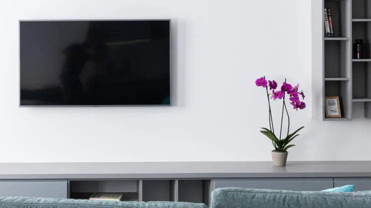 Televisión montada en la pared