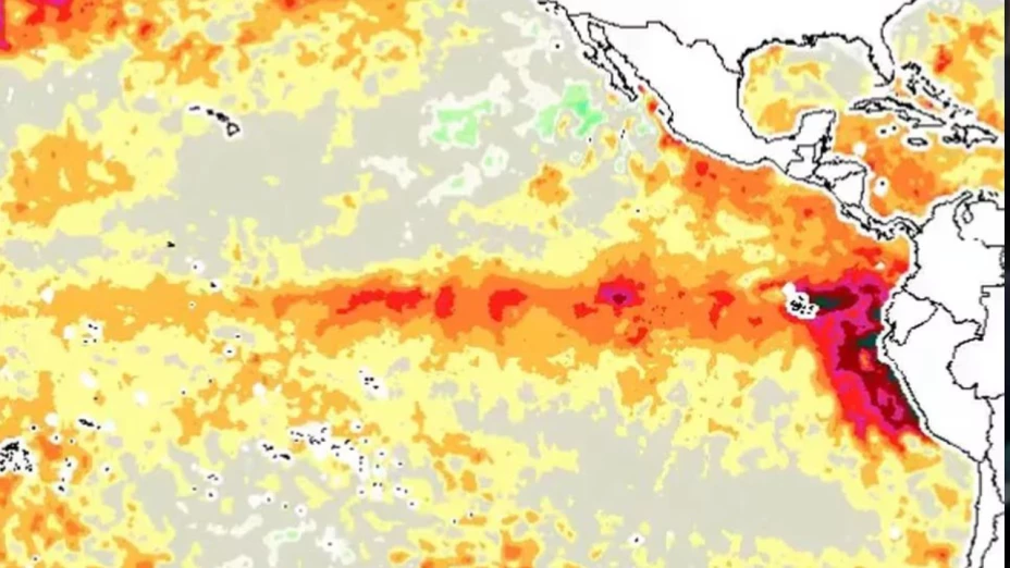Niño Canonico y Mega Niño Modoki