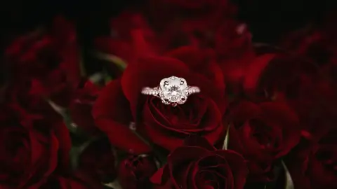 anillo de compromiso
