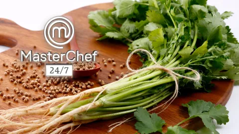 Diferencias cilantro MasterChef.jpg