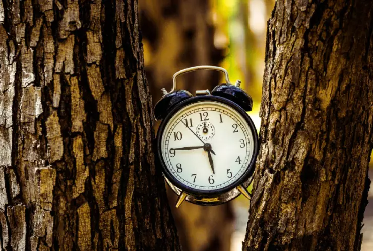 Horario de invierno 2024_ Cómo queda la hora en Mérida y los otros municipios de Yucatán tras los cambios del 1 de noviembre