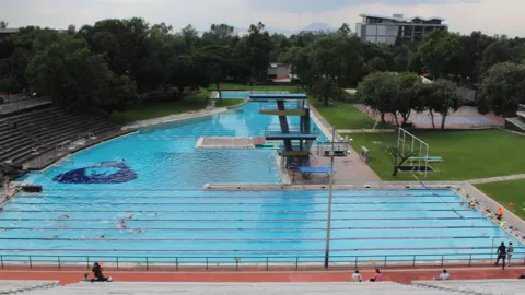 Lanzan convocatoria para nadar en la Alberca Olímpica Universitaria de CU y estos son los requisitos