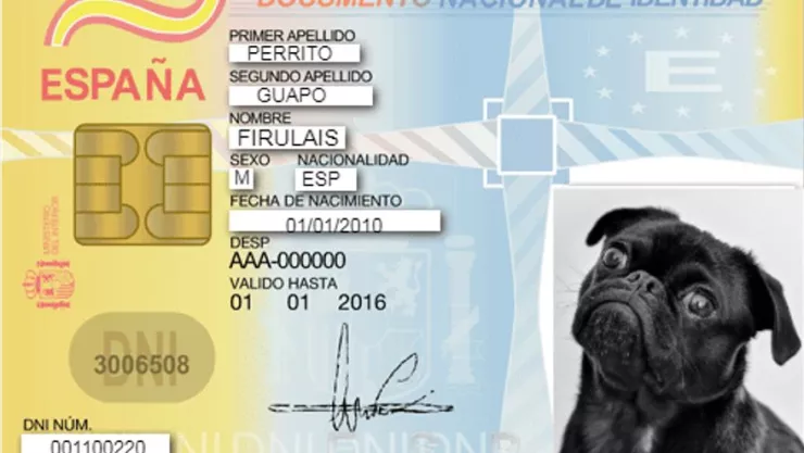 Identificación, perros, gatos, España 1.jpg