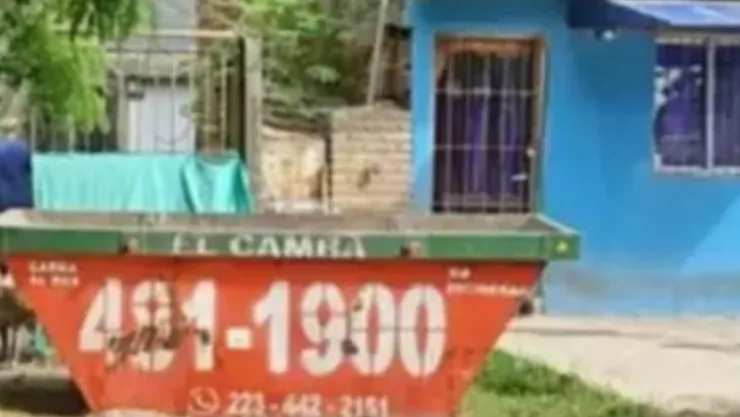 ¡Impensable! Abuelita de 64 años envenena a sus 16 perritos y 12 gatos Así ocurrió .jpg