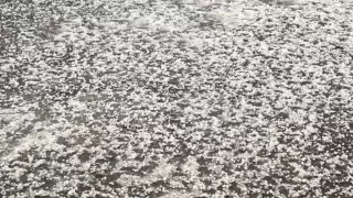 FOTOS: Regresan las lluvias a Puebla hoy 21 de abril de 2025 ¿Qué zonas fueron afectadas?