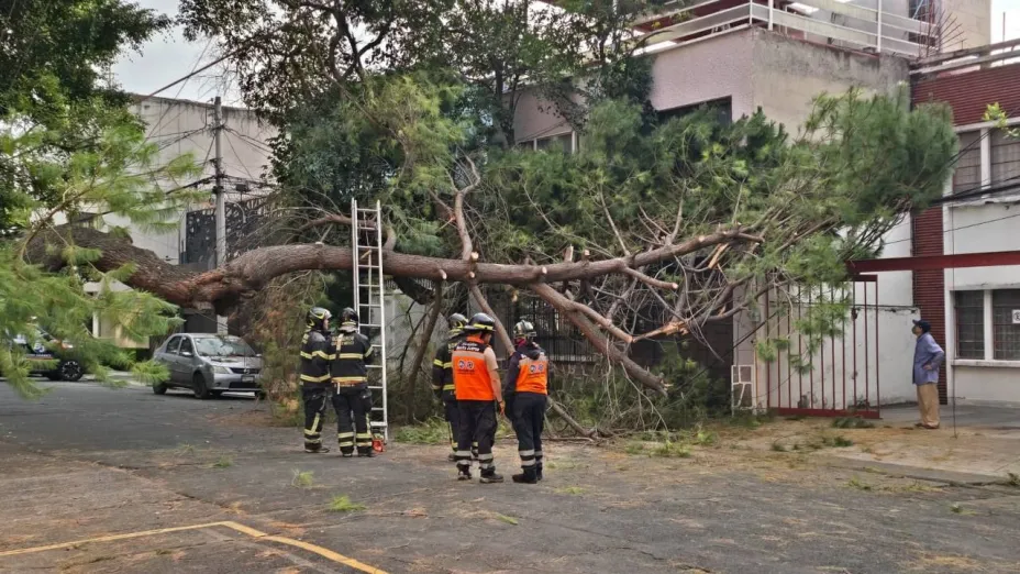 EN VIVO| Calles afectadas en CDMX HOY: Socavones, encharcamientos, baches y obras inconclusas este jueves; zonas afectadas y rutas alternas