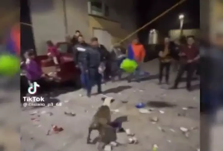 perrito se roba piñata