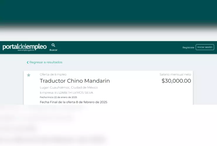 empleo de traductor CDMX