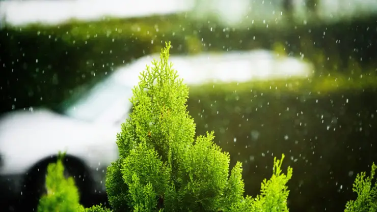 Clima hoy en Yucatán 29 de julio de 2024_ La onda tropical 14 causará afectaciones