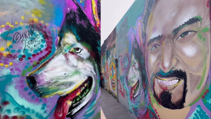 Así reaccionó el cantante del ‘’Za Za Za’’ al mural que le hicieron en Veracruz