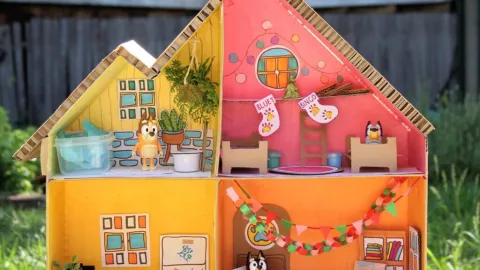 bluey casa.jpg