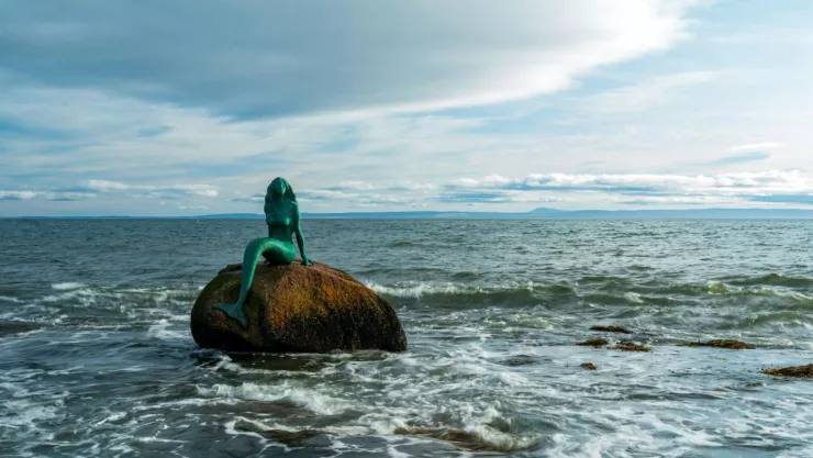 VIDEO: Captan en playa de Veracruz presunto canto de sirenas ¿Cómo sucedió?