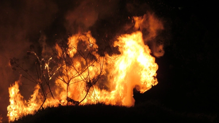Cómo-afectan-los-incendios-forestales-en-México