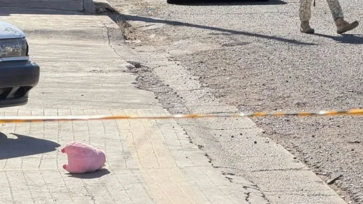 cerdito rosa Culiacán