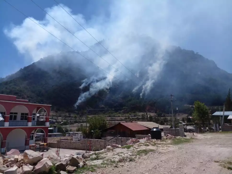 Incendio en cerro de Gachupín, Oaxaca, deja 4 personas muertas.