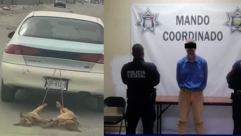 Hombre arrastra perritos aauto