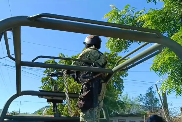 Reportan un tigre suelto en la comunidad de Alta Rosa, en Elota, Sinaloa..jpg