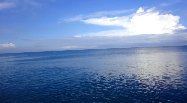 /universo-y-mar/cuantos-oceanos-tiene-planeta