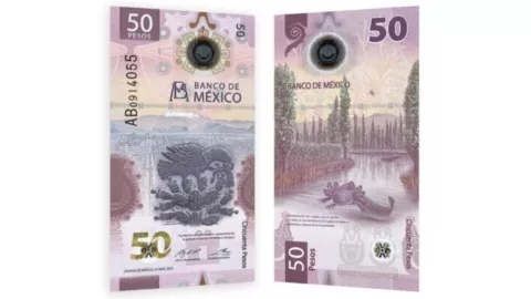 billete de 50 pesos por el que se pagan millones