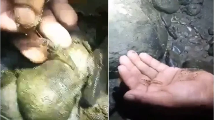 video_envenenamiento.jpg