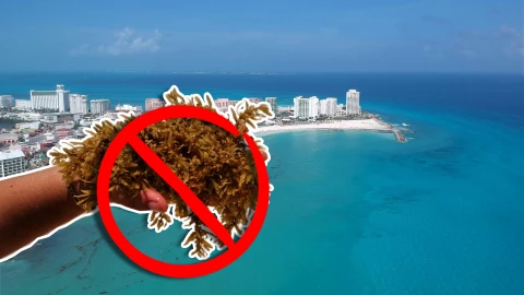 Playas libres de sargazo en Quintana Roo HOY 12 de septiembre de 2025_ Lista desde Holbox, Cancún, Tulum a Xcalak.jpg