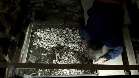 Templo Mayor estrellas de mar