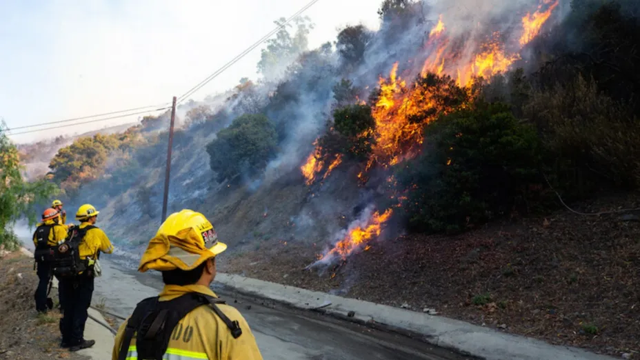 Conafor CDMX_incendio.jpg