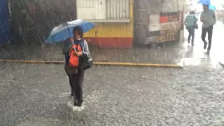 Clima hoy en Yucatán 29 de agosto de 2024_ Prevén afectaciones por las fuertes lluvias en varios municipios de Yucatán