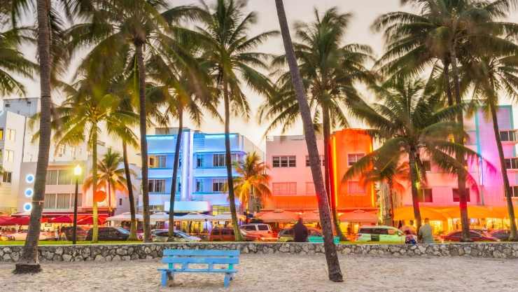 Palmeras en una de las playas de Miami Beach