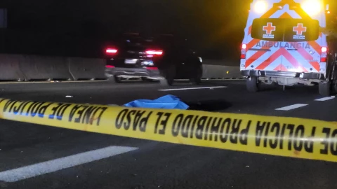atropellado autopista Veracruz
