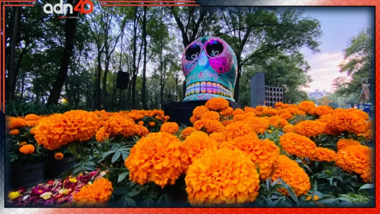 ¿Cuánto cuesta morir en México por entierro o cremación?