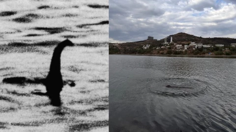 ¿Monstruo De la Presa Madín Vecinos aseguran haber visto un dinosaurio.jpg