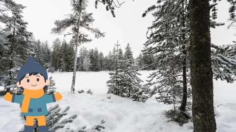 tormenta invierno-México.png