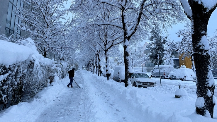 Nevada en Alemania