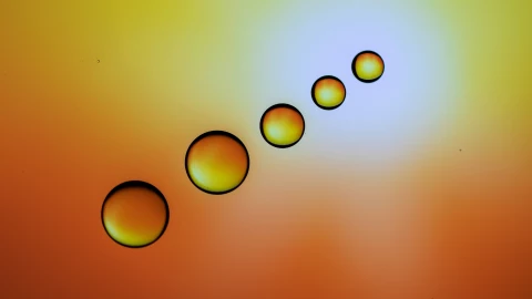 Alineación de siete planetas en febrero de 2025: Fecha exacta y dónde verlos en Yucatán