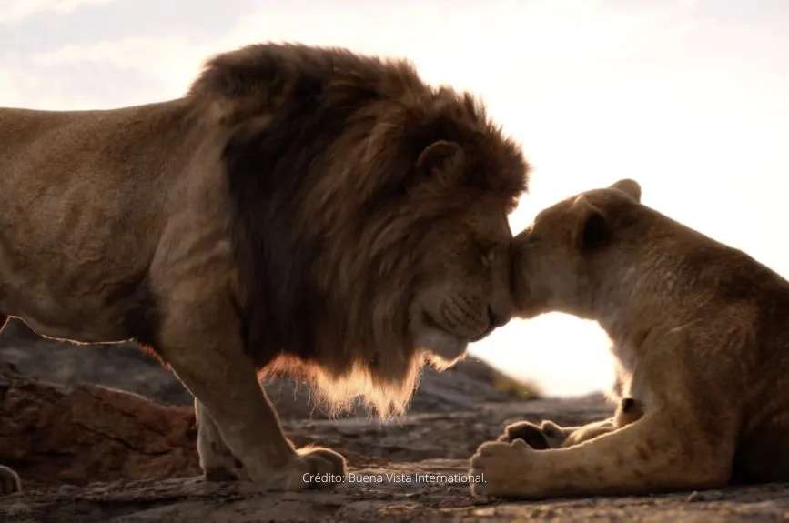 El Rey León Live Action Doblaje