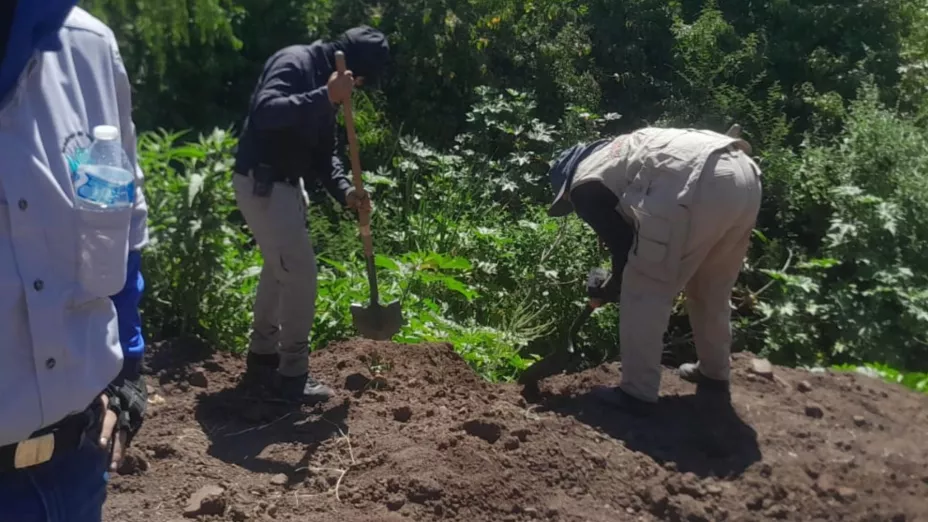 Hallan restos óseos en Culiacancito