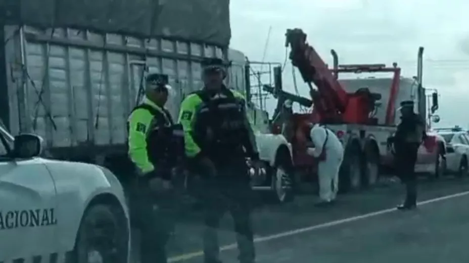 Asalto.jpg