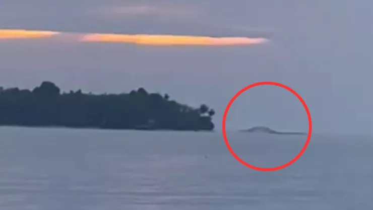 Monstruo marino en Indonesia