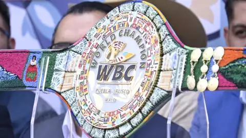 cinturon especial canelo ryder box